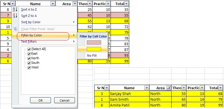 Excel Auto Filter